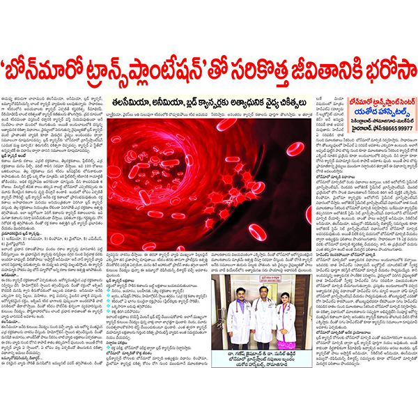 Blood Information 